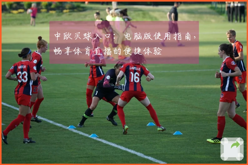 中欧买球入口：电脑版使用指南，畅享体育直播的便捷体验