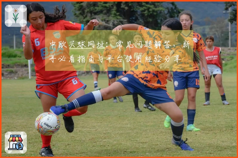 中欧买球网址：常见问题解答，新手必看指南与平台使用经验分享