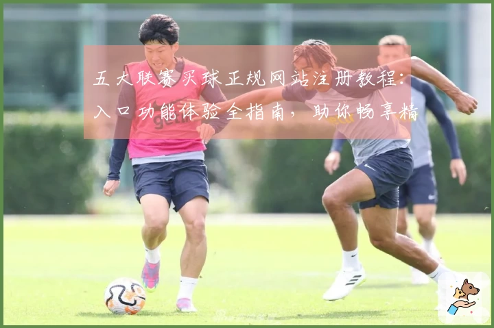 五大联赛买球正规网站注册教程：入口功能体验全指南，助你畅享精彩体育赛事