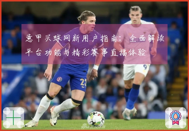 意甲买球网新用户指南：全面解读平台功能与精彩赛事直播体验