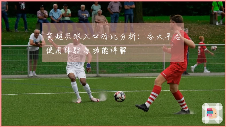 英超买球入口对比分析：各大平台使用体验与功能详解