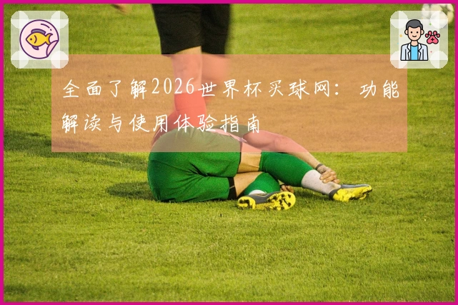 全面了解2026世界杯买球网：功能解读与使用体验指南