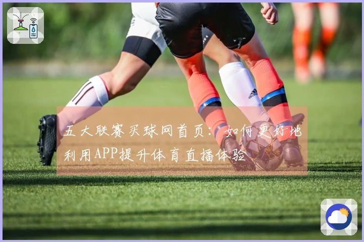 五大联赛买球网首页：如何更好地利用APP提升体育直播体验