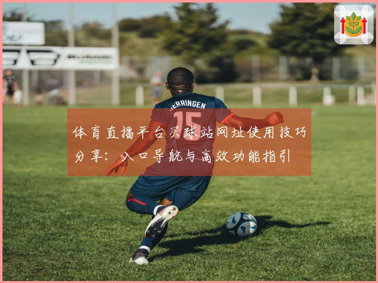 体育直播平台买球站网址使用技巧分享：入口导航与高效功能指引
