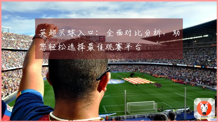 英超买球入口：全面对比分析，助您轻松选择最佳观赛平台