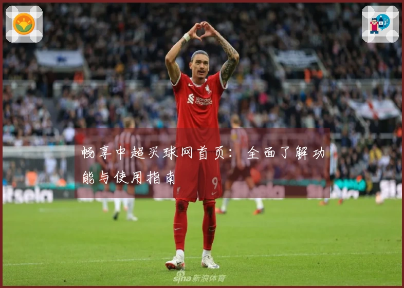 畅享中超买球网首页：全面了解功能与使用指南