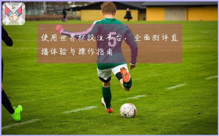 使用世界杯投注平台，全面测评直播体验与操作指南